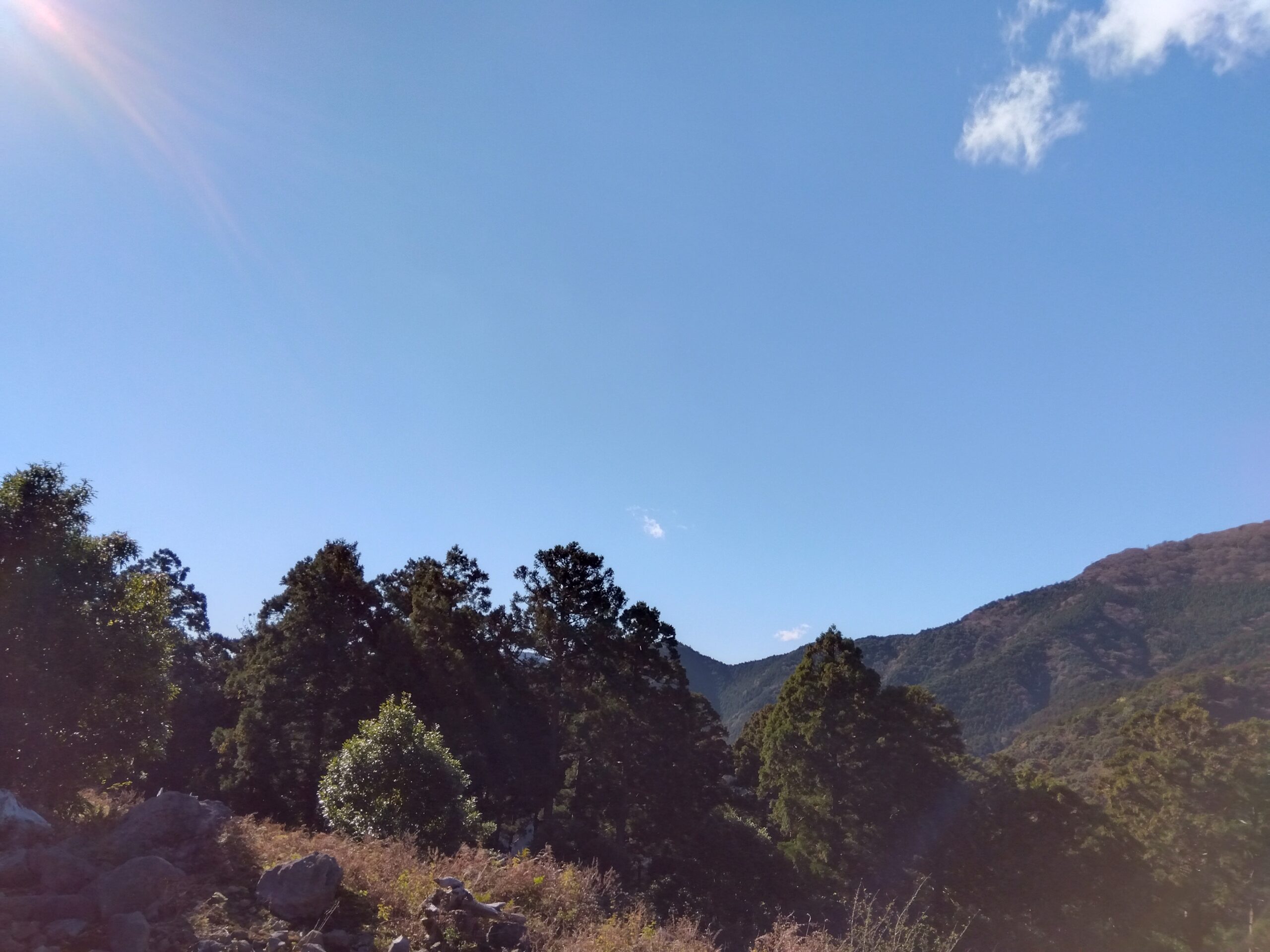 河津町梨本